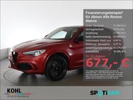 Alfa Romeo Stelvio, 2.9 Quadrifoglio Q4 V6 Bi-turbo, Jahr 2023 - Aachen