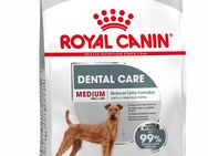 Royal Canin CCN Dental Care Medium - 10 kg