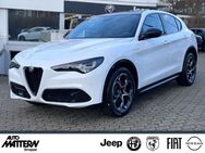 Alfa Romeo Stelvio, 2.0 Veloce Q4 Turbo, Jahr 2024 - Herford (Hansestadt)