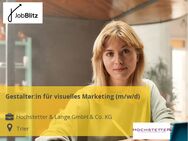 Gestalter:in für visuelles Marketing (m/w/d) - Trier