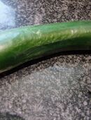 Italienische - Bauerngurke in 70569