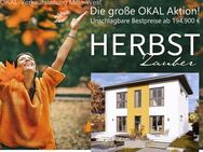 Herbstzauber - Villa von Okal-Haus in Adenau - Adenau