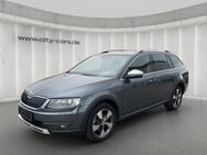 Skoda Octavia Scout 4x4*AHK*Bi Xenon*Navigation*Sound* - Brandenburg (Havel)