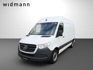 Mercedes Sprinter, 317 Kasten L2H2 MBUX ParkPake, Jahr 2023 - Meißen