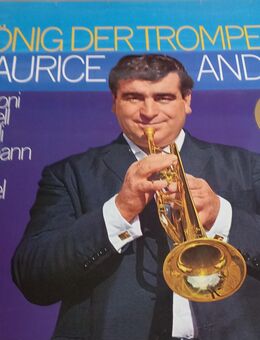 Schallplatten-Sammlung abzugeben - Glückstadt
