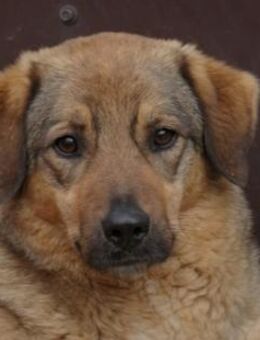 Schüchterne, liebe Alena - Kallmünz