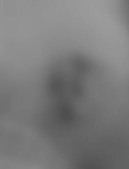 bin*** - Verden (Aller)