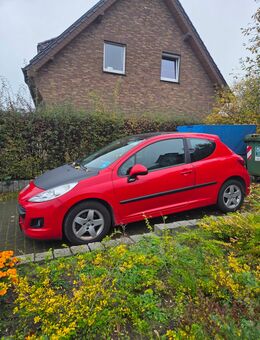 Peugeot 207 sucht Liebhaber - Reken