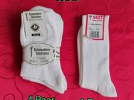 Socken, Arztsocken, Größe: 39-42, neu - Immenhausen