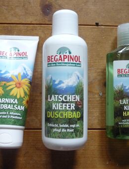Latschenkiefer als Set von BEGAPINOL - Burghaun