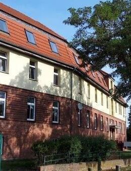 +++ Helle 2-Raumwohnung in Genthin +++ - Genthin