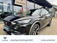 CUPRA Formentor, 2.0 TSI VZ, Jahr 2024 - Nienburg (Weser)