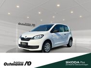 Skoda Citigo, Cool Edition 44kw, Jahr 2019 - Niestetal