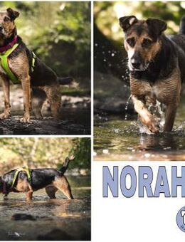 NORAH -aktiv & menschenbezogen- - Duisburg