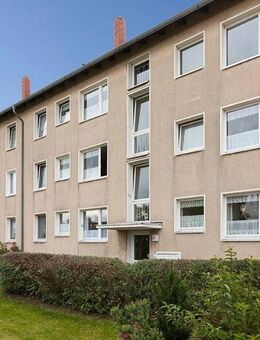 Alles frisch und neu, so wird wohnen toll! - Braunschweig