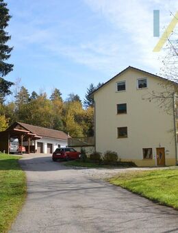 Landwirtschaftliches Anwesen mit großer Wiese, Mehrparteienhaus und vielem mehr - Regen