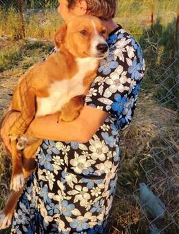 Lord; neugierig auf das Leben - Geilenkirchen