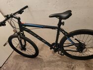 Mountainbike Neu 27,5 Zoll - Magdeburg