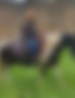 Qua*** - Stade (Hansestadt)