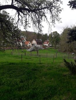 Natur Pur-Dreiseitenhof zur individuellen Tierhaltung geeignet - Wethau