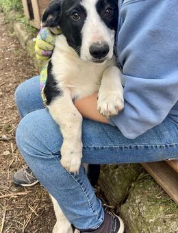 JOHN ist ein fröhlicher kleiner Bub ♥️ - München