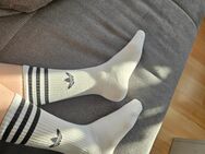 Einzigartige, getragene Socken - exklusiv für dich ! - Halle (Saale)