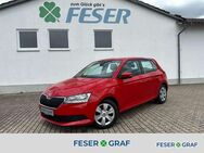 Skoda Fabia, 1.0 MPI Active NW, Jahr 2021 - Heideck