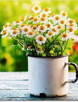 Artland Glasbild Frühlingsgarten mit Echter Kamille, Blumen (1 St), in verschiedenen Größen