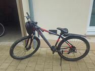Montenbike 29 Zoll fast neu - Babenhausen (Bayern)