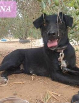 Nana; neugierig und interessiert - Geilenkirchen