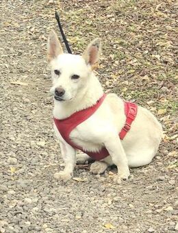 KAI - endlich wirklich Liebe erfahren - Overath