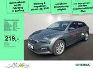 Skoda Scala, 1.5 TSI Tour, Jahr 2024 - Immenstadt (Allgäu)