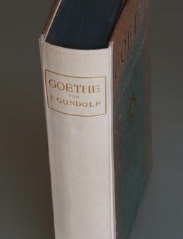 Friedrich Gundolf: Goethe (1922) - Münster