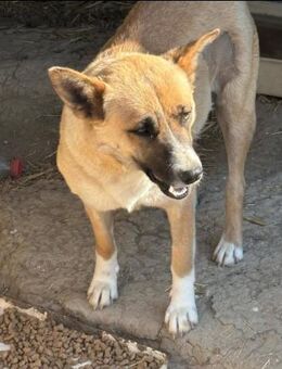 🩷 ABBY - Markkleeberg