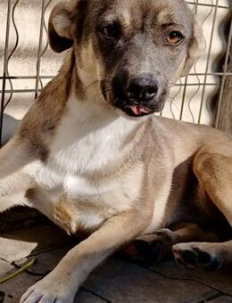 YVY - lebensfroh und verspielt - Weilheim (Oberbayern)