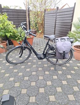 Gazelle Arroyo C7 - Waldfeucht