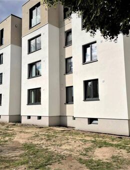 Demnächst frei! 2-Zimmer-Wohnung in Wolfsburg Vorsfelde - Wolfsburg