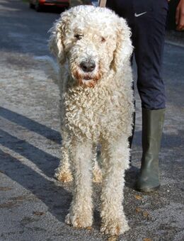Juli 2 - sehr menschenfreundlich - Marktleugast