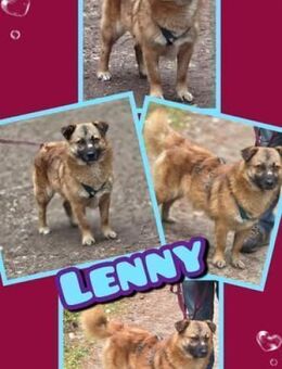 Lenny wartet in Nürnberg! - Nürnberg