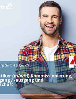 Lagerlogistiker (m/w/d) Kommissionierung, Wareneingang / -ausgang und Lagerwirtschaft - Dunningen