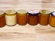 6 x 500g Honig Mix Frühtracht Sommertracht deutscher Bienenhonig - Berlin