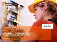 Mitarbeiter – Instandhaltung Produktionsanlagen (m/w/d) - Holtsee