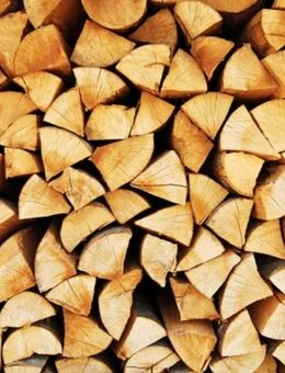 Ficht/Buchen Brennholz zu verkaufen, 25cm oder 33cm - Pfronten