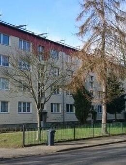 Wohnen auf dem Lande - Brunn (Mecklenburg-Vorpommern)