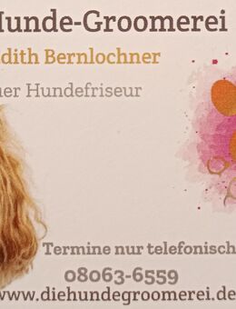 *** NEU *** die Hunde - Groomerei, Dein Hundefriseur hat Termine frei - Weyarn
