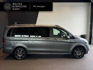 Mercedes V 220, d ED L AMG Ambiente, Jahr 2023 - Wedel