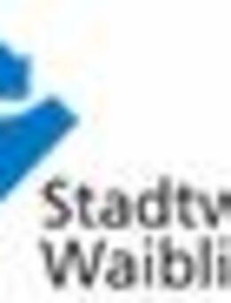 Digitalisierungsmanager (m/w/d) - Waiblingen