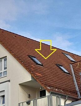 exklusiv geschnittene Stadtwohnung mit Süd-/Loggia und Südbalkon - Neumarkt (Oberpfalz)