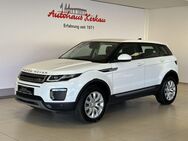 Land Rover Range Rover Evoque, , Jahr 2017 - Delligsen