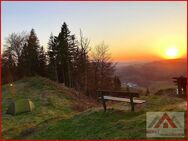 Baugrundstück am Waldrand, ideal für Familien und Naturliebhaber, nahe Winterberg - Winterberg Zentrum